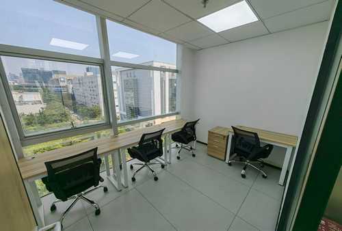 临猗梨树树苗推荐货源