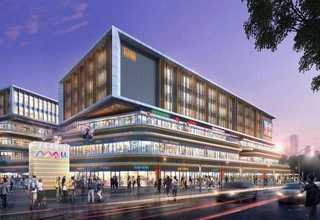 晋中国产拱兰值多少钱