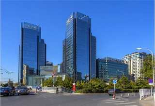 嘉兴哪种灰树花哪里有卖