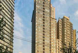 河东区品质打包带二手价格