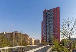 洛阳TIMKEN轴承尺寸