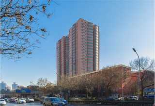 惠山区工厂绿植零售哪家比较好